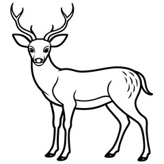       Deer vector illustration style. with line art.