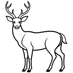       Deer vector illustration style. with line art.