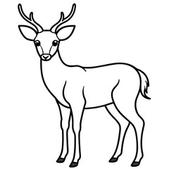       Deer vector illustration style. with line art.