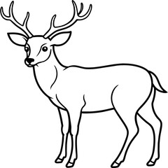 Fototapeta premium Deer vector illustration style. 