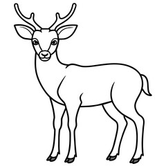 Fototapeta premium Deer vector illustration style. 