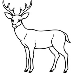      Deer  vector illustration style.
