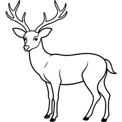       Deer  vector illustration style.

