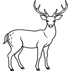       Deer  vector illustration style.
