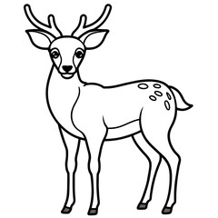       Deer  vector illustration style.
