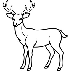Fototapeta premium Deer vector illustration style. 