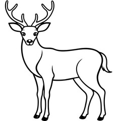 Fototapeta premium Deer vector illustration style. 