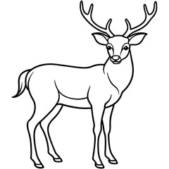 Obraz premium Deer silhouette vector illustration style. 