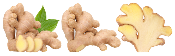 Fresh ginger rhizome with green leaves and slices isolated, half ginger root isolated, transparent PNG,  PNG format, cut out, Close-up