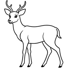       Deer  vector illustration style.
