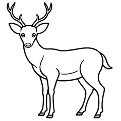       Deer  vector illustration style.
