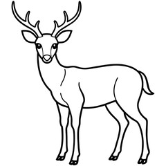       Deer  vector illustration style.
