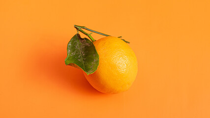 Lemon isolated on orange background close up