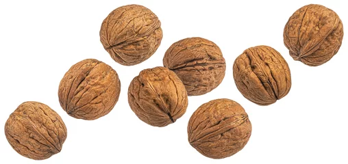  Whole walnuts isolated on white background, package design element © xamtiw