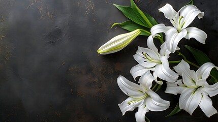 branch of white lilies flowers, condolence card with copy space for text, stock photography - obrazy, fototapety, plakaty