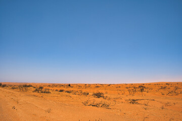 Barren landscape of dust, red earth and dead bushes in the Western Australian outback, between Exmouth and Coral Bay. 