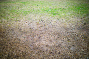 Early spring empty ground texture background - 780679920