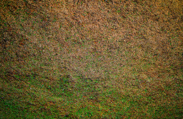 Early spring empty ground texture background - 780679932