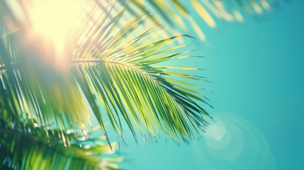 Zelfklevend Fotobehang Beautiful palm tree leaves against the blue sky sunlight. Generate AI image © Ashalina