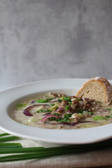 German Comfort in a Bowl: Hearty Cheese Soup with Ground Meat, Red Onions, and Leeks
