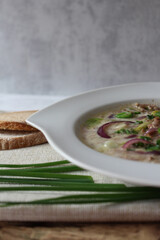 German Comfort in a Bowl: Hearty Cheese Soup with Ground Meat, Red Onions, and Leeks