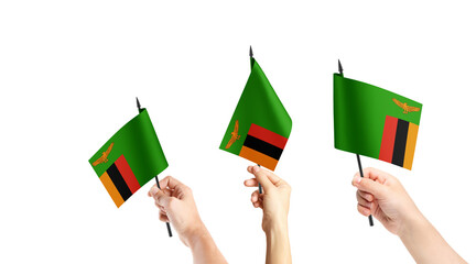 A group of people are holding small flags of Zambia in their hands.