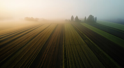 illustrazione vista aerea di campagna coltivata, foschia con luce diffusa