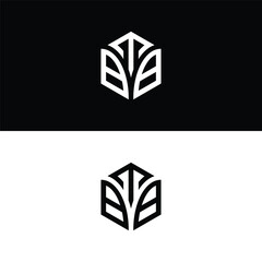 Initial letter TBB hexagon logo design, flourish, develop, natural, luxury, simple, finance logo, real estate.