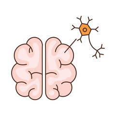 parkinson brain with neuron - 780693389