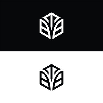 Initial letter TBB hexagon logo design, flourish, develop, natural, luxury, simple, finance logo, real estate.
