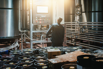 Brewmaster monitors beer production in craft brewery amidst kegs and shiny stainless steel barrels