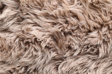 Texture of faux fur as background, top view