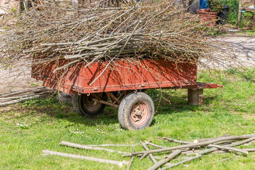 An old trailer is completely filled with branches cut from a large tree