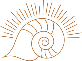 Linear Seashell Logo