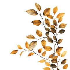 Obraz premium Plant twig with gold leaves on transparent background, artistic houseplant design