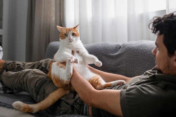 young man plays with a brown and white cat sitting on his legs