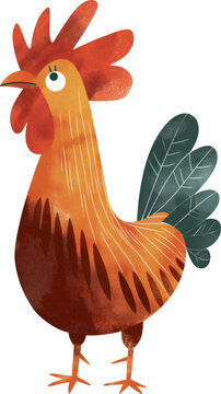 Watercolor illustration of a rooster cartoon character In the style of childish and whimsy isolated.