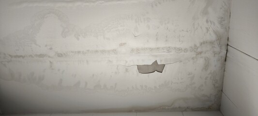 white wall and floor