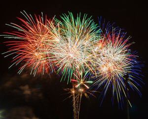 fireworks in the night sky