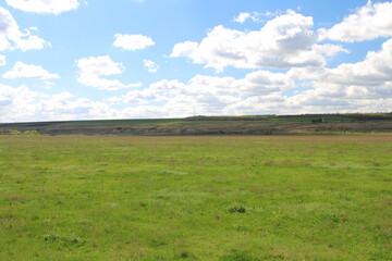 A grassy field with a cloudy sky