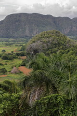 Karst landscape with dome-like limestone outcrop -mogote Dos Hermanas- in the UNESCO World Heritage Valle de Viñales Valley. Pinar del Rio-Cuba-148