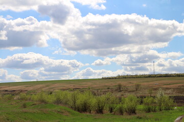 Fototapeta na wymiar A landscape with trees and a cloudy sky