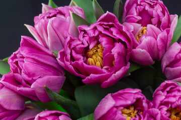 Obraz premium Festive bouquet of pink peony-shaped tulips close-up