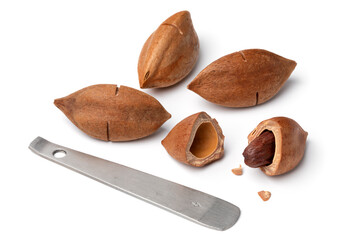 Shelled pili nut, whole pili nuts and opener close up isolated on white background
