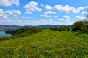 Naklejka premium Meadow at the coast of the Adriatic sea at Strunjan nature reserve in Littoral region of Slovenia