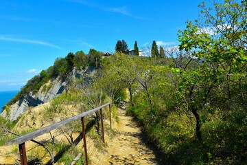 Walking trail through Strunjan nature reserve with mediterranean vegetation in Primorska, Slovenia
