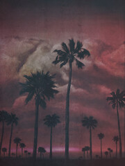 Dark Rose Pink Palms mural