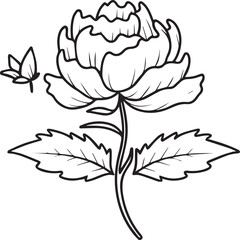 Peony coloring pages. Peony flower outline vector for coloring book