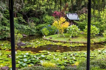 Fototapete bei efototapeten.de bestellen   