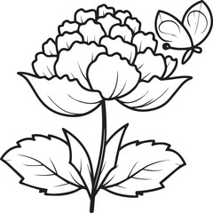 Peony coloring pages. Peony flower outline vector for coloring book